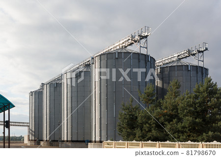 Modern Granary elevator and seed cleaning line. Modern Granary elevator and seed cleaning line. 81798670