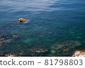 海 81798803