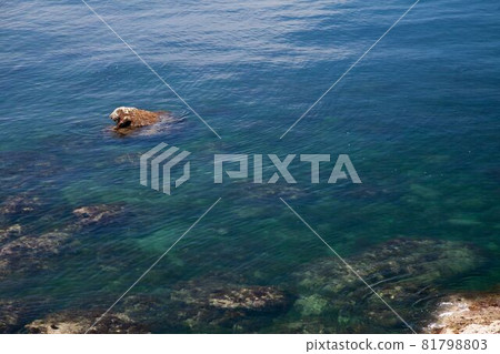 海 81798803