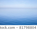 海 81798804