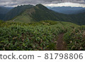 山 81798806