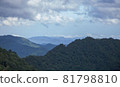 山 81798810