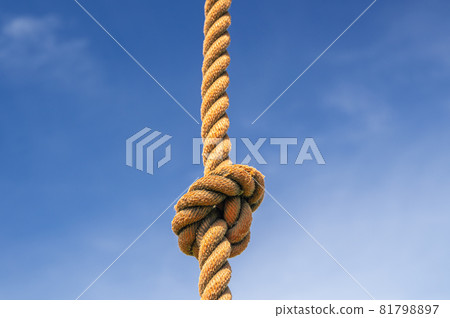 Rope knot 81798897