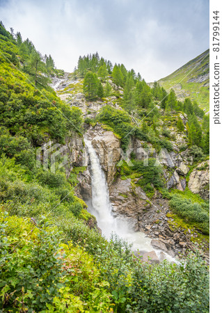 Wild alpine waterfall on mountain stream 81799144