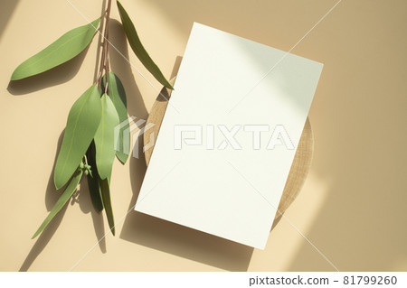 米色背景上的卡片模型 米色背景上的卡片模型 81799260