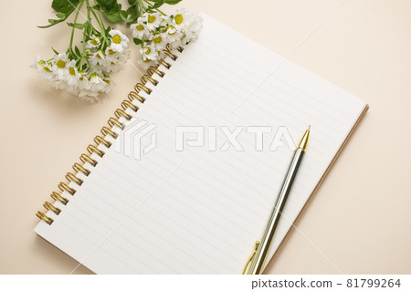 blank notebook on beige background blank notebook on beige background 81799264
