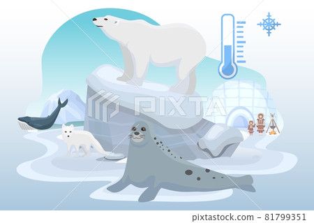 Northern pole cold place wild animal bear, ocean seal, arctic fox beast, alaska citizen flat vector illustration, isolated on white. 81799351