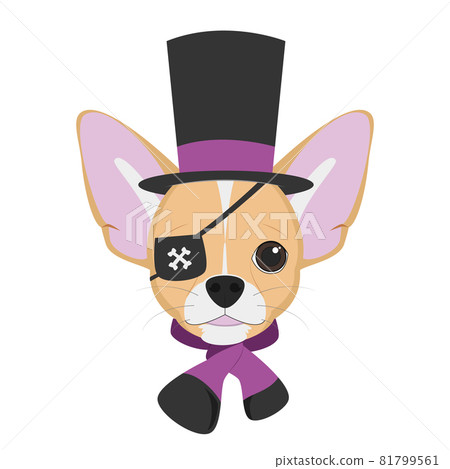 Halloween greeting card. Chihuahua dog with top hat, scarf and eye patch 81799561