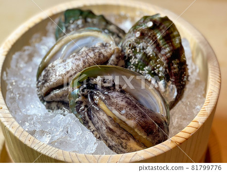 Abalone in the tub Abalone in the tub 81799776