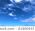 天空就像在雲層之上 81800935