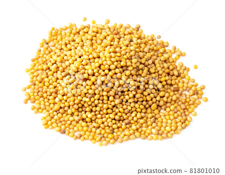 handful of yellow seeds of oriental mustard (Brassica Juncea) closeup on white background 81801010