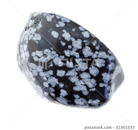 tumbled gray snowflake obsidian gemstone on white tumbled gray snowflake obsidian gemstone on white 81801033