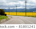 Paddy fields and prefectural roads with rice ears 81801241