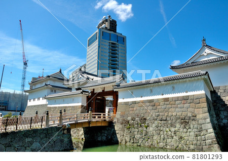 駿府城遺址辰巳塔和靜岡縣政府大樓 駿府城遺址辰巳塔和靜岡縣政府大樓 81801293