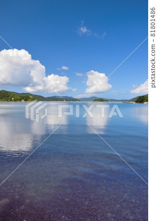奄美大島,瀨戶內町久越平靜的海 奄美大島,瀨戶內町久越平靜的海 81801486