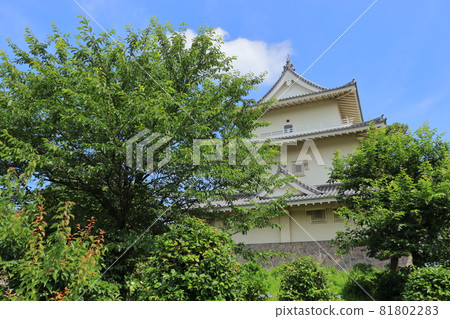 Kisai Castle, Kazo City, Saitama Prefecture 81802283