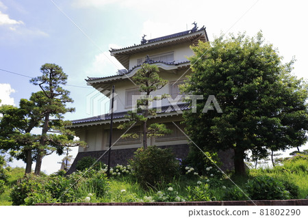 埼玉縣加藏市木西城 埼玉縣加藏市木西城 81802290