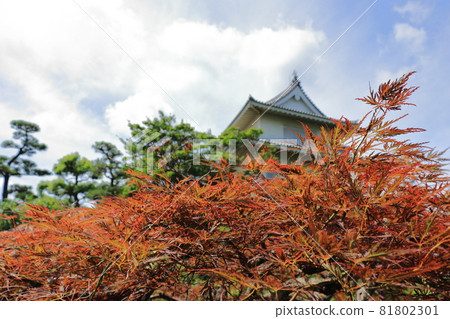 埼玉縣加藏市木西城 埼玉縣加藏市木西城 81802301