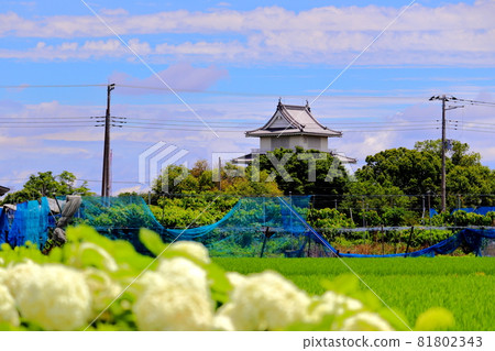 埼玉縣加藏市木西城 埼玉縣加藏市木西城 81802343