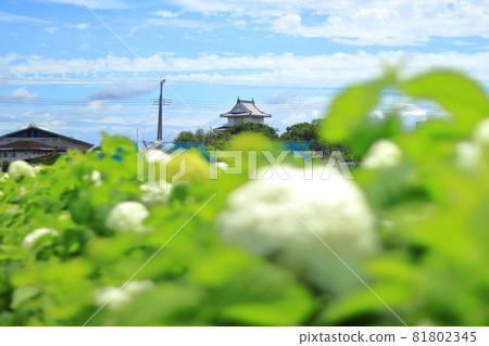 埼玉縣加藏市木西城 埼玉縣加藏市木西城 81802345
