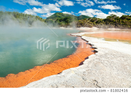 Champagne Pool 81802416