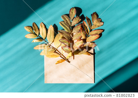 Dry branches with leaves sticking out of paper envelope on cyan background 81802823