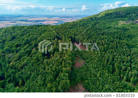 Sleza mountain landscape. Aerial view of mountains with forest. 81803310