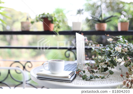 Coffee cup and laptop and notebook with tokyo snow plant on white metal table at balcony Coffee cup and laptop and notebook with tokyo snow plant on white metal table at balcony 81804203