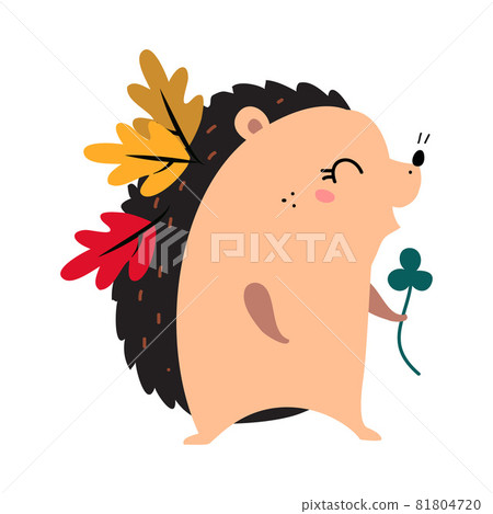 Cute Prickly Hedgehog as Forest Animal Walking with Autumn Leaf on Its Spikes Vector Illustration Cute Prickly Hedgehog as Forest Animal Walking with Autumn Leaf on Its Spikes Vector Illustration 81804720