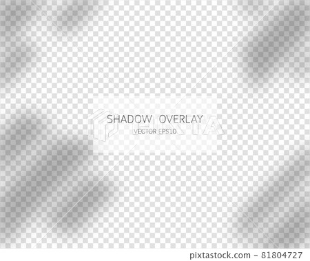 Shadow overlay effect. Natural shadows from window isolated on transparent background. Vector illustration. Shadow overlay effect. Natural shadows from window isolated on transparent background. Vector illustration. 81804727