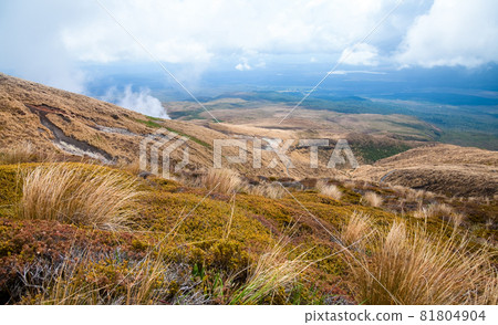 Volcanic landscape Volcanic landscape 81804904