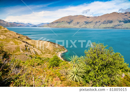 Lake Wanaka Lake Wanaka 81805015
