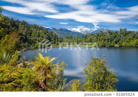 Kettle lake Mapourika in New Zealand Kettle lake Mapourika in New Zealand 81805024
