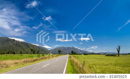 Country road in New Zealand panorama Country road in New Zealand panorama 81805025