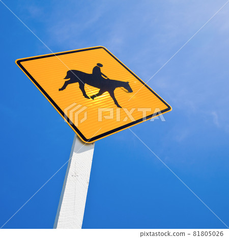 Horse rider warning road sign Horse rider warning road sign 81805026