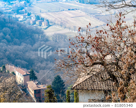 Travel to Italy - above view of persimmon tree and gardens in suburbs of Bergamo city from San Vigilio castel in spring haze 81805340