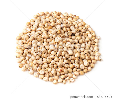 pile of raw unhulled Sorghum grains closeup on white background 81805393
