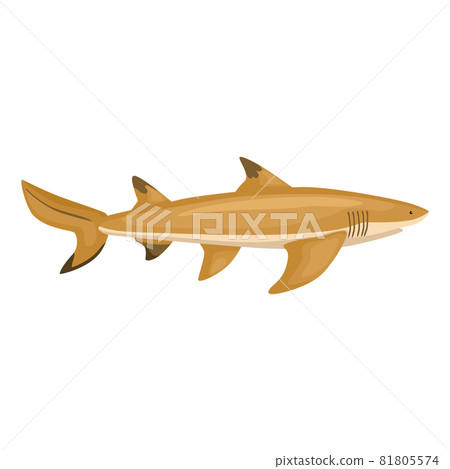 Lemon shark isolated on white background. Cartoon character of ocean for children. 81805574