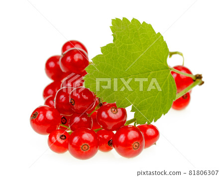 Redcurrant berries 81806307