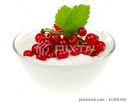 Yogurt bowl with Redcurrant berries Yogurt bowl with Redcurrant berries 81806308