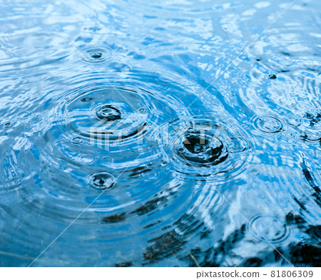 Rainy weather 81806309