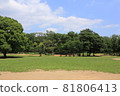 Greenery of Prefectural Gyoda Park Funabashi City, Chiba Prefecture 81806413