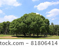 Symbol of Gyoda Park, Funabashi City, Chiba Prefecture 81806414