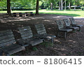 Bench standing in the shade of a tree 81806415