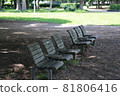 Bench standing in the shade of a tree 81806416