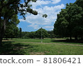 Nature of Gyoda Park Funabashi City, Chiba Prefecture 81806421