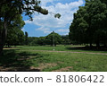 Nature of Gyoda Park Funabashi City, Chiba Prefecture 81806422