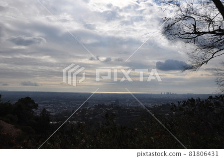 Streets of Los Angeles 81806431