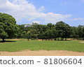 Nature and blue sky of Gyoda Park 81806604