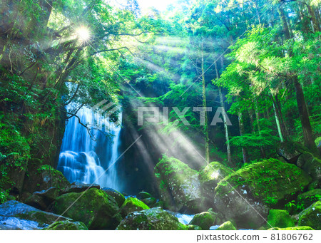 Kuwano tree's waterfall (Shingu city, Wakayama prefecture) 81806762